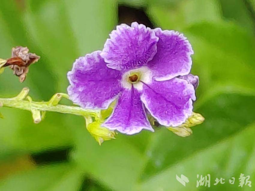 img/f2f7a0eccc3a16347cfce1f5db8b5856.jpeg